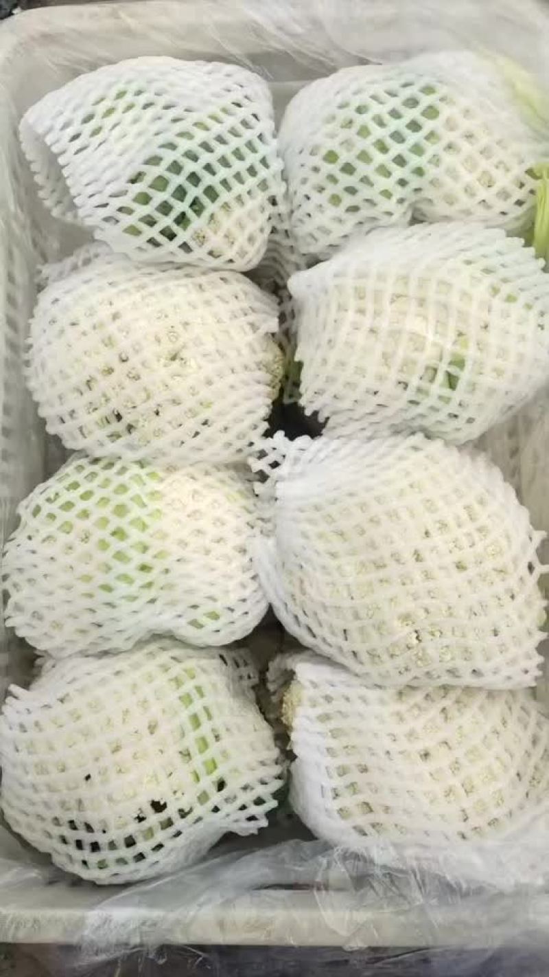 精品有机花