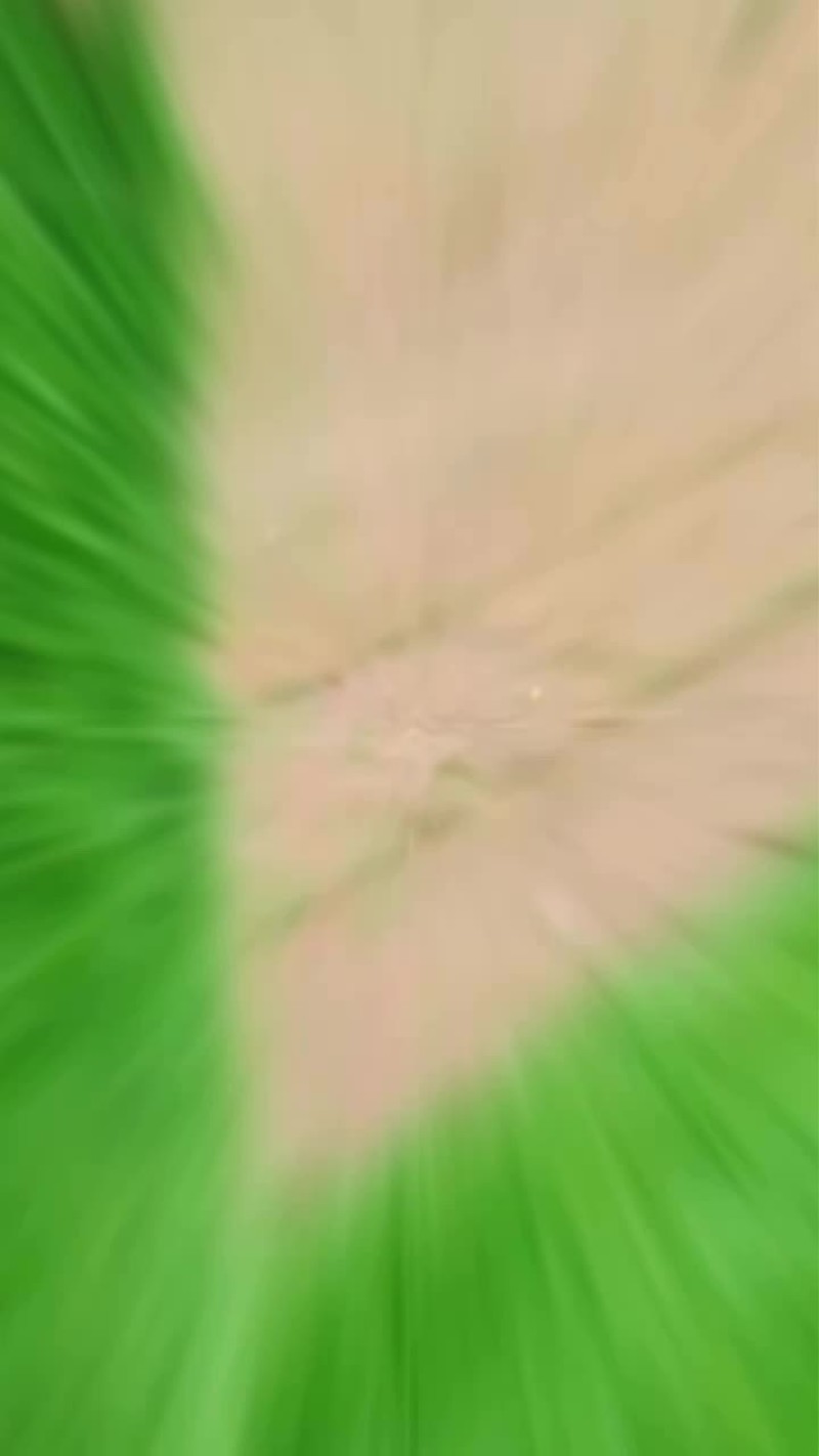 果岭草