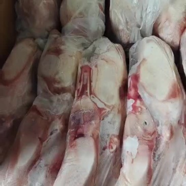 白条鸭腾惠更多客户的选择