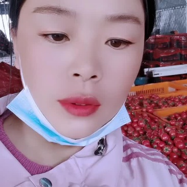 圣女果产地大量直供