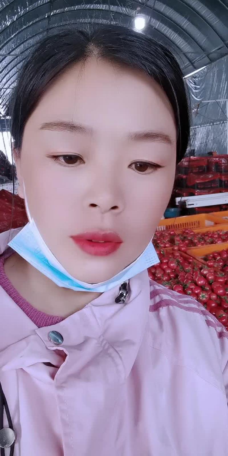 圣女果产地大量直供