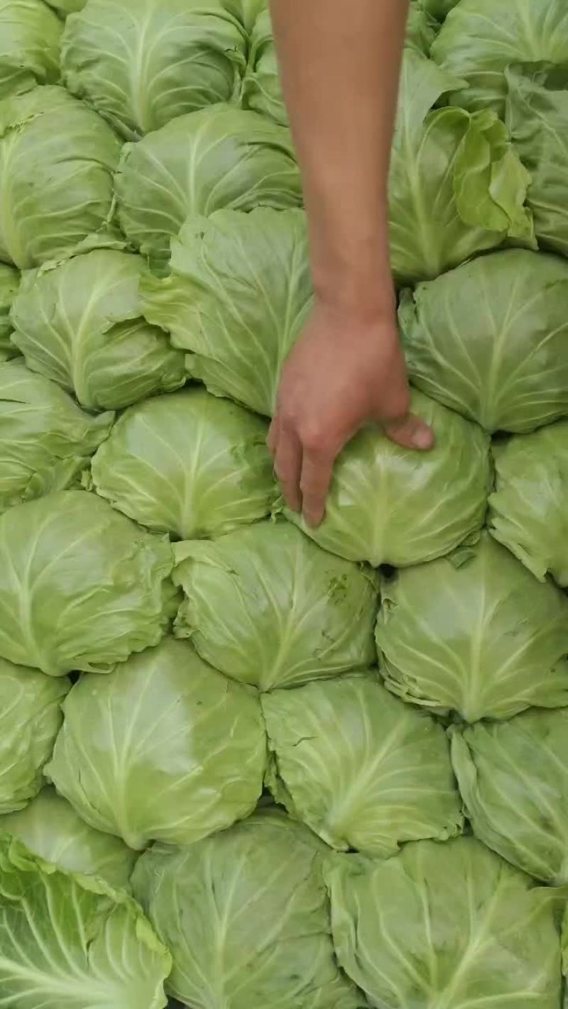 甘兰