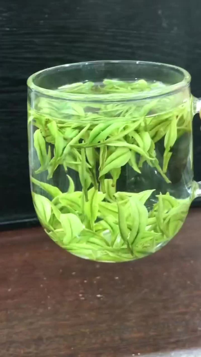 安吉白茶茶浙江安吉县
