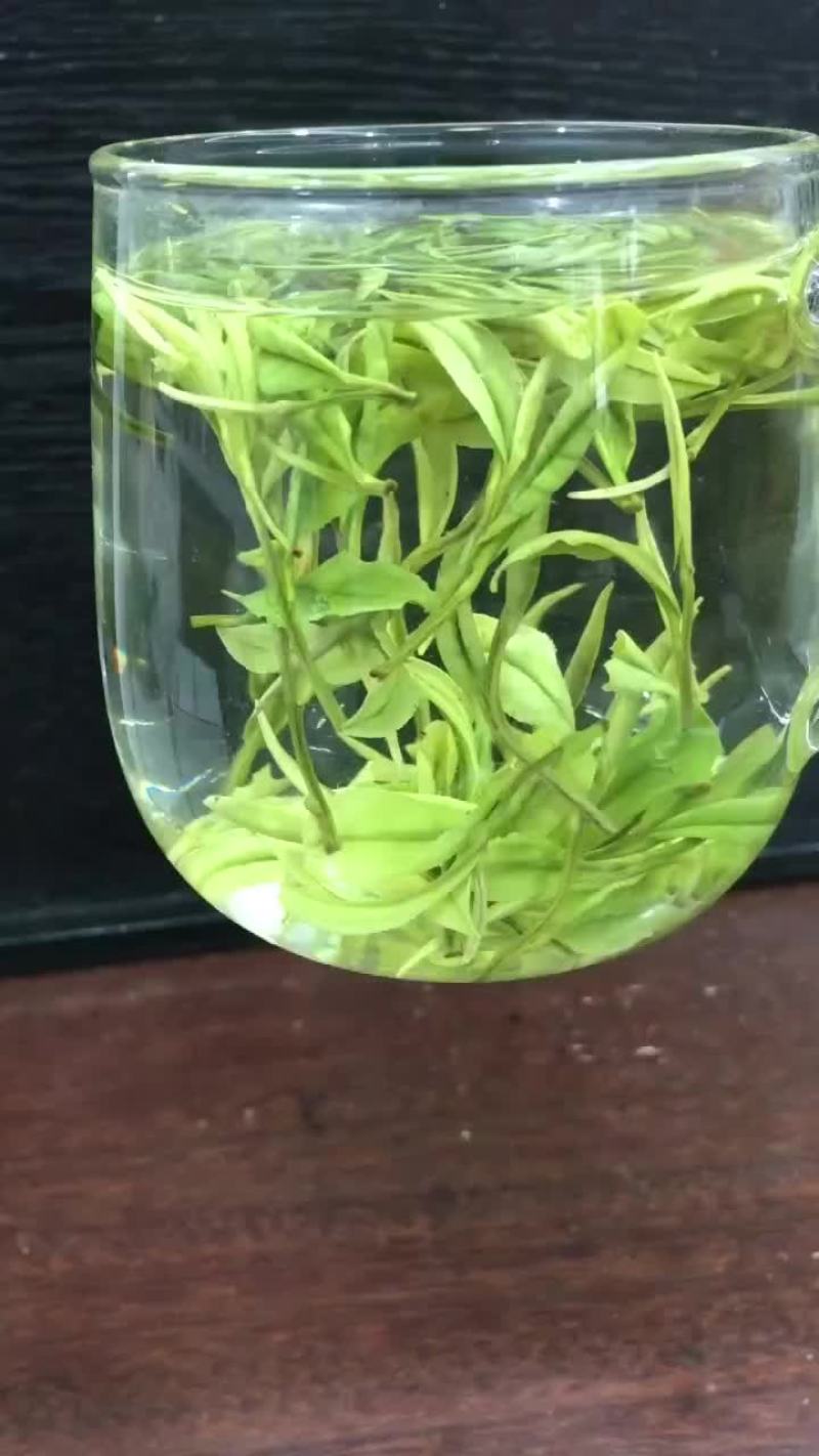 安吉白茶茶浙江安吉县