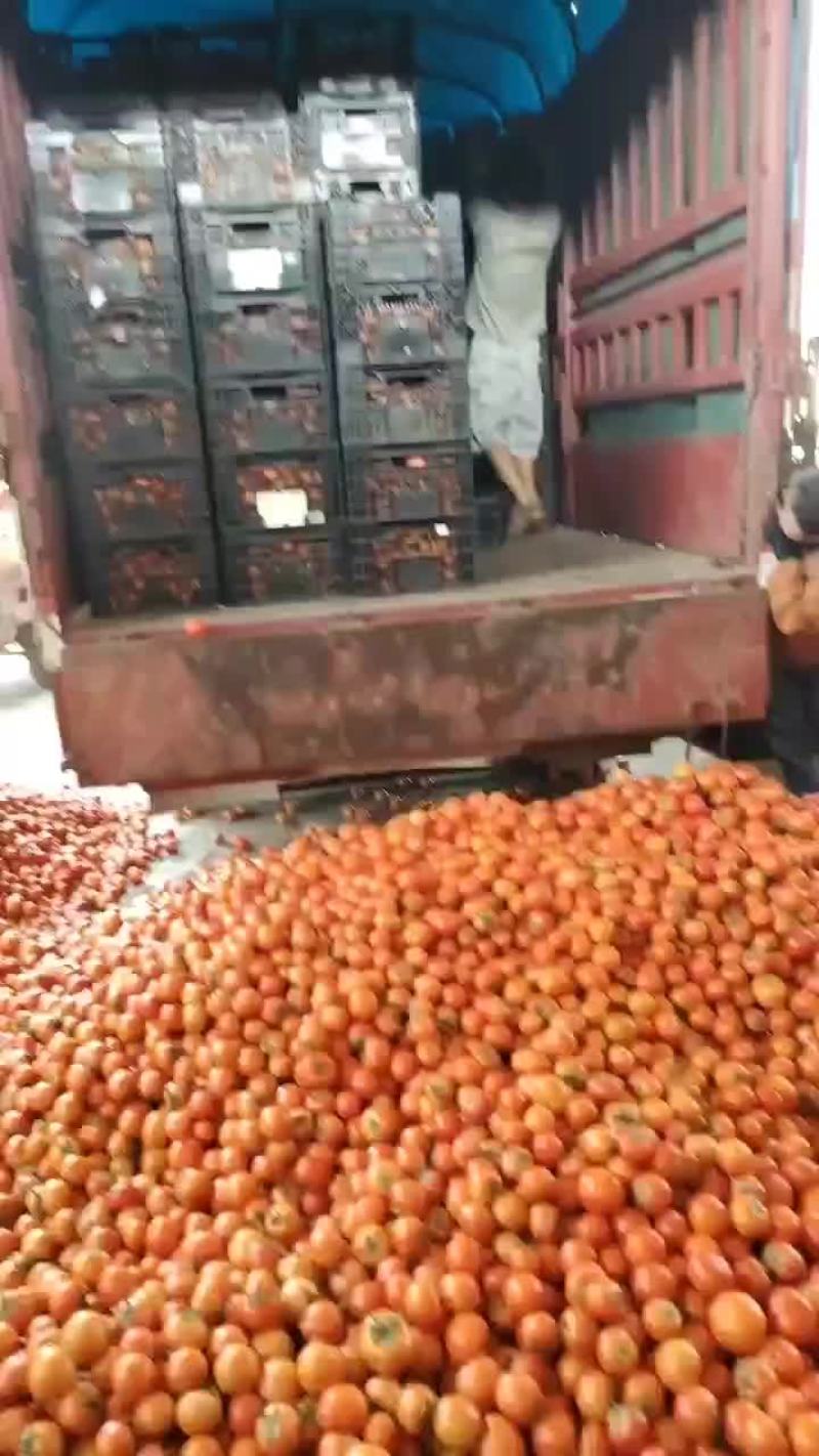 【推荐】云南精品都有果形圆硬度好耐运输