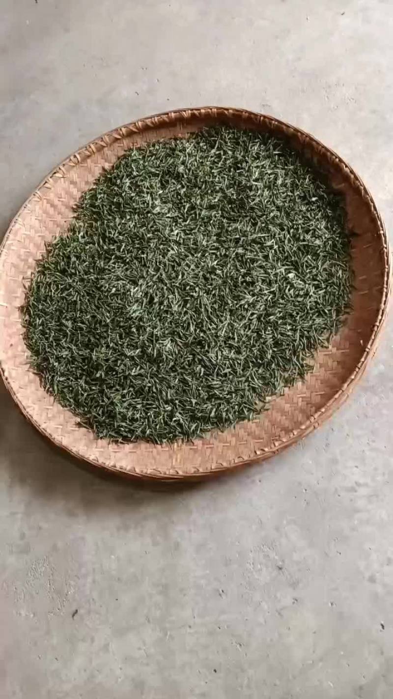 舒城高山小兰花茶叶