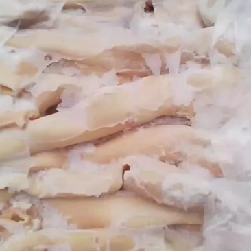 精品大心管