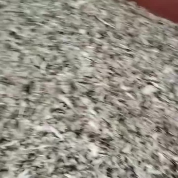 4000斤鸭出售。看上联系我