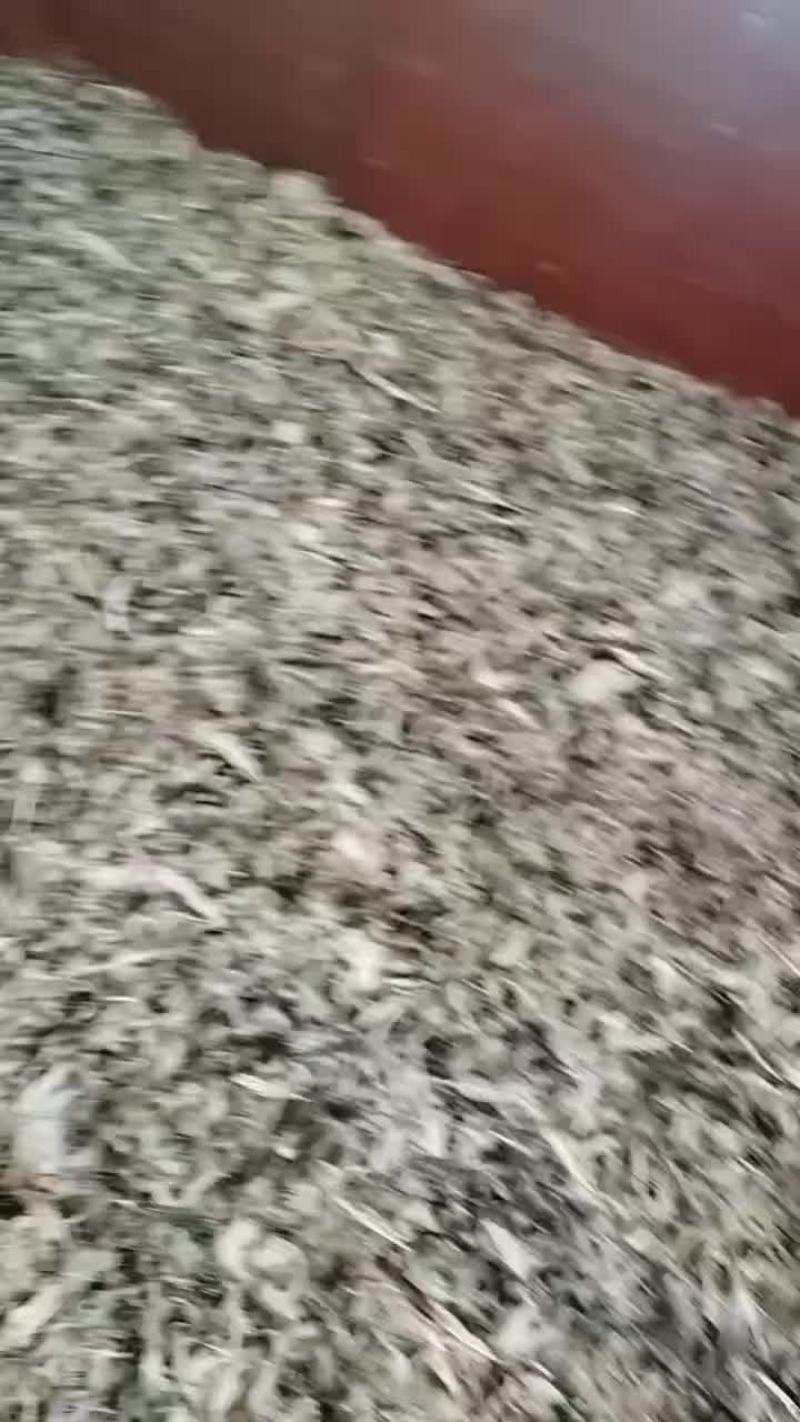 4000斤鸭出售。看上联系我