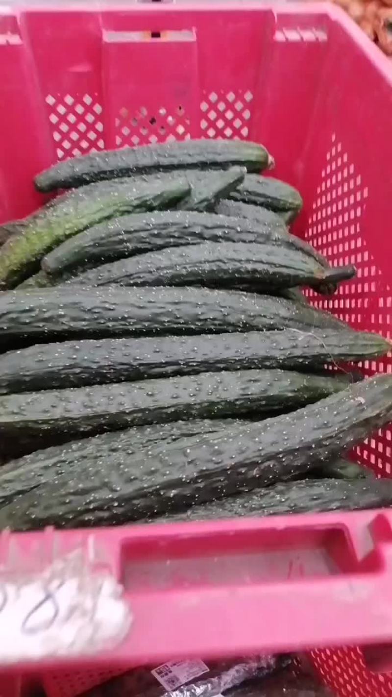 密刺黄瓜