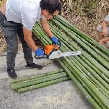 大棚杆，竹竿