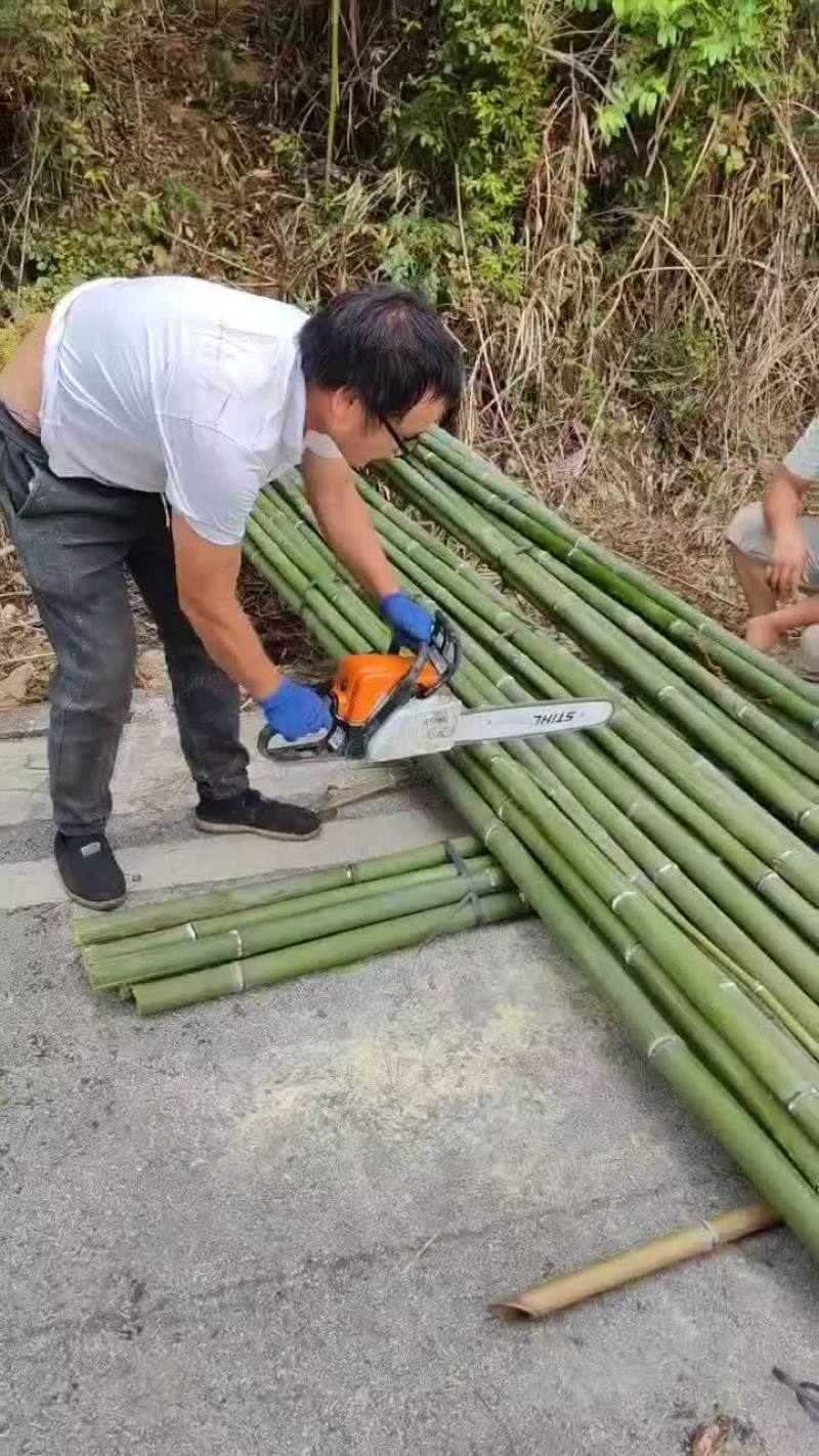 大棚杆，竹竿