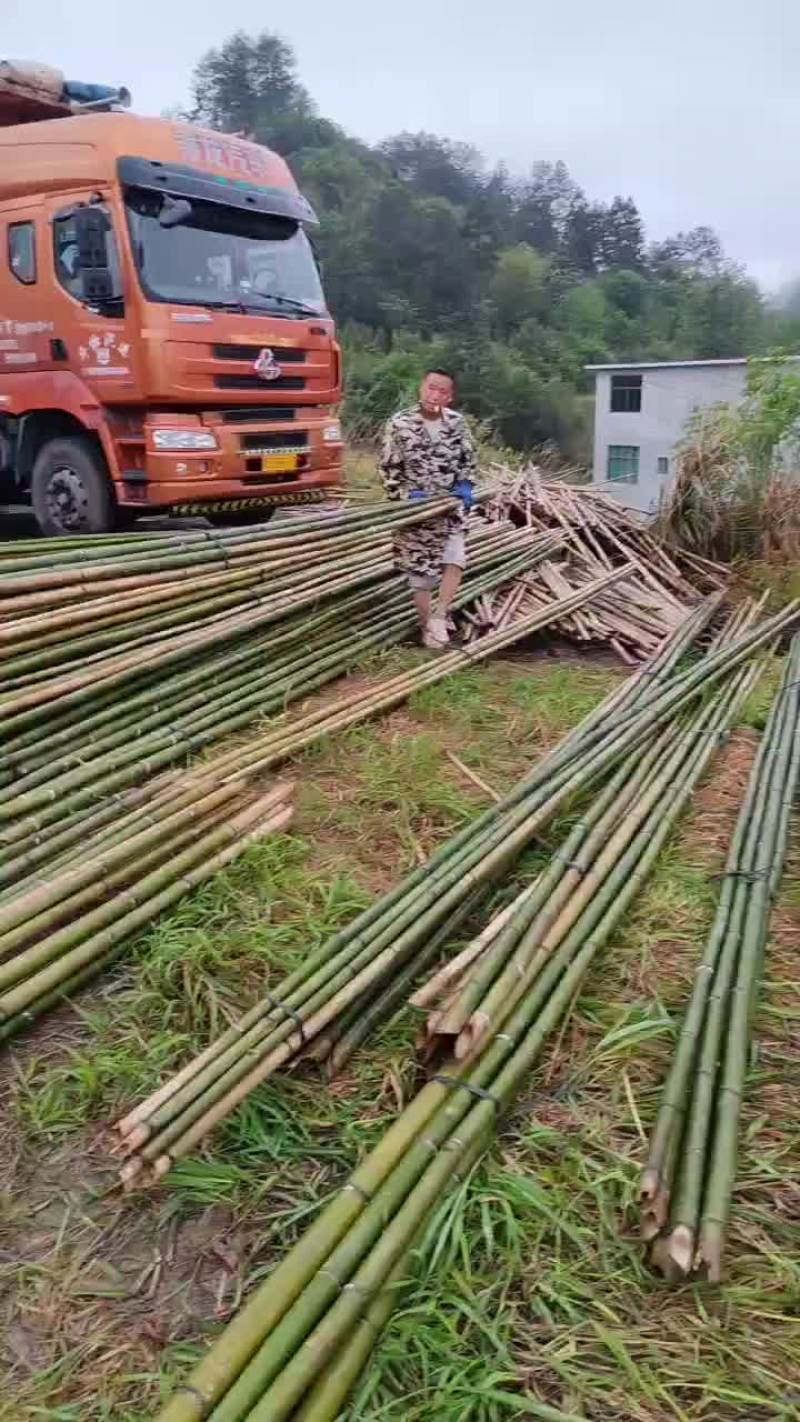 大棚杆，竹竿
