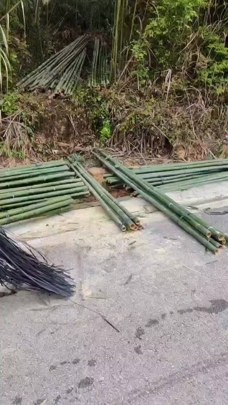 大棚杆，竹竿