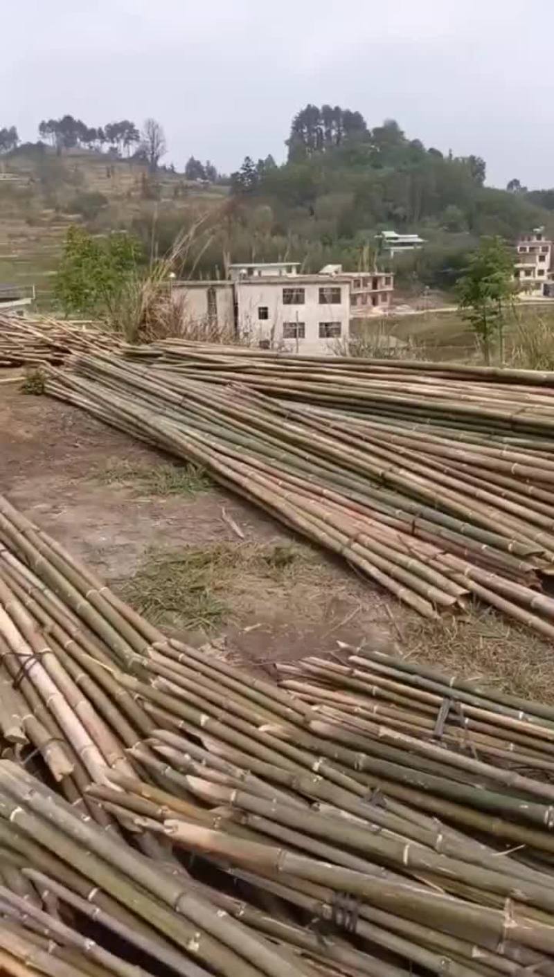 大棚杆，竹竿