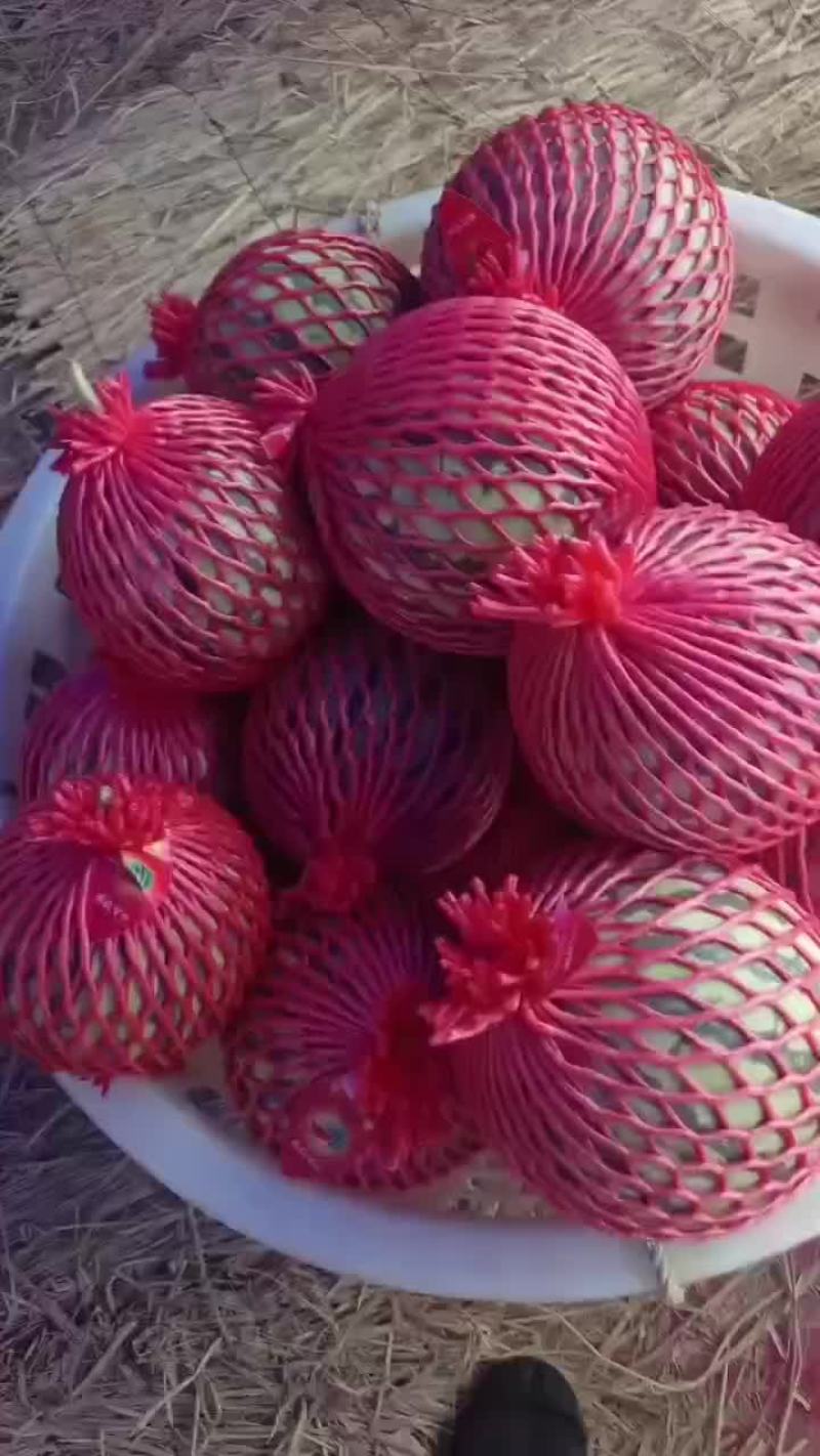 精品西瓜