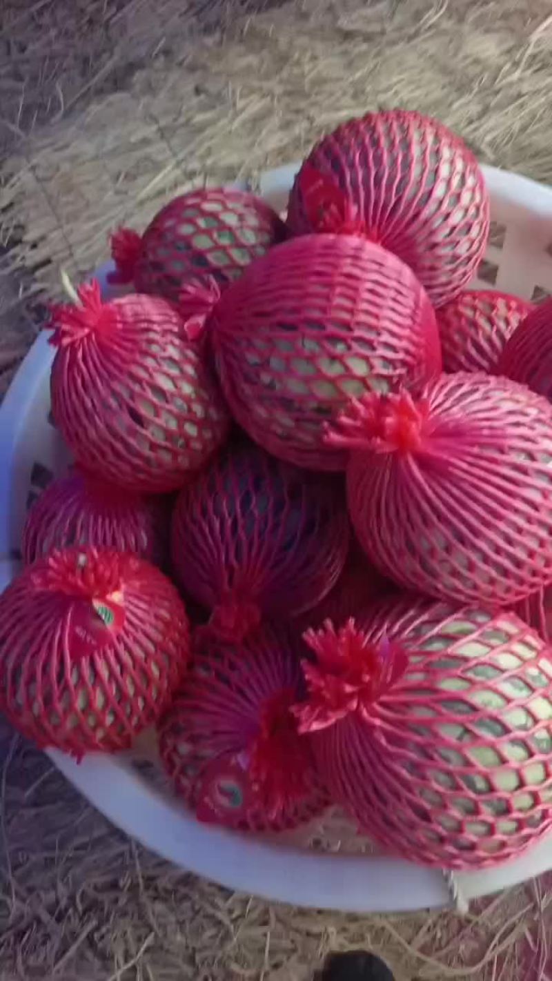精品西瓜
