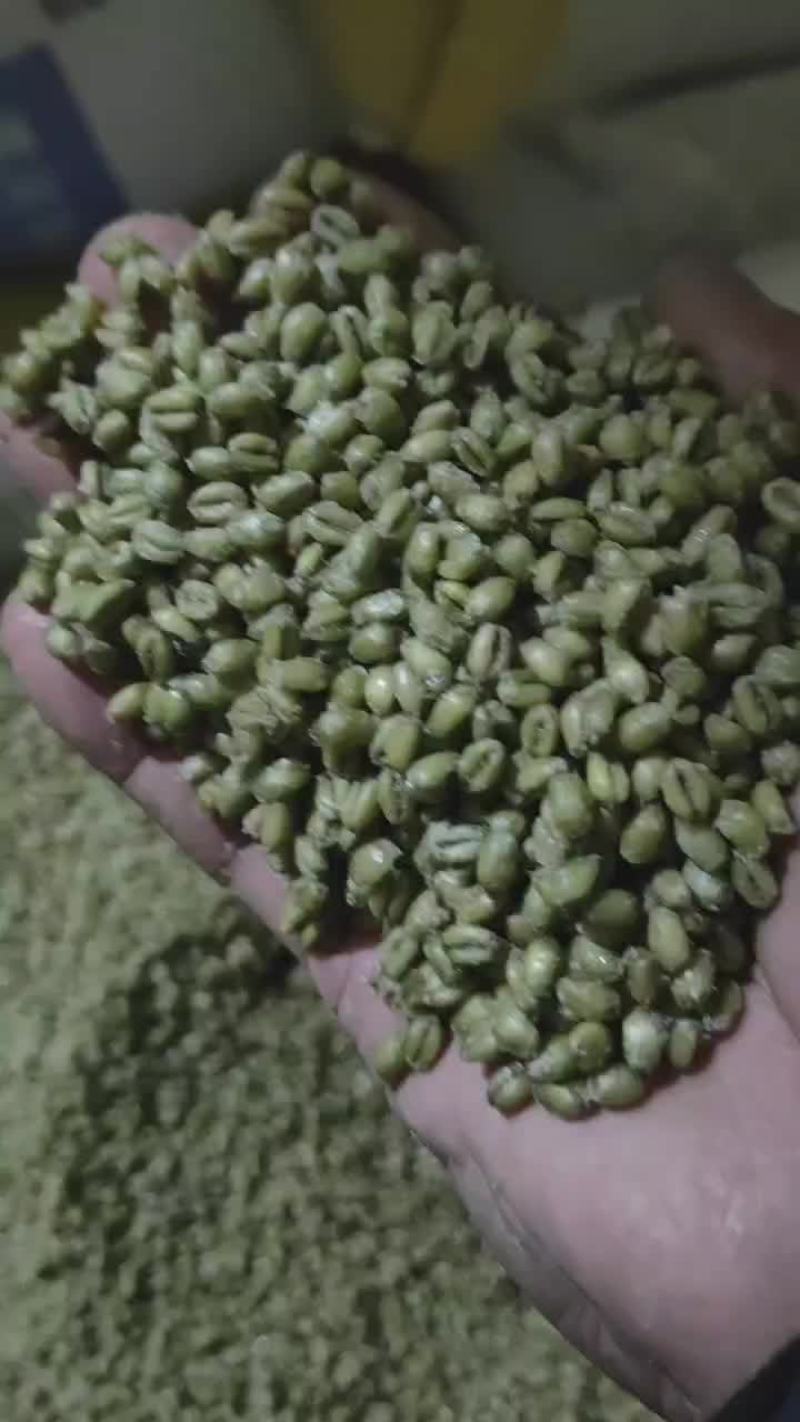 青麦仁
