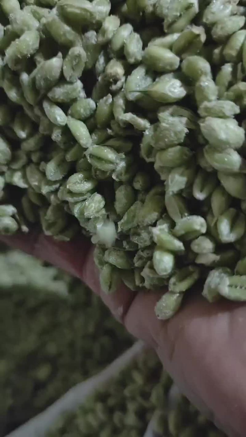 青麦仁