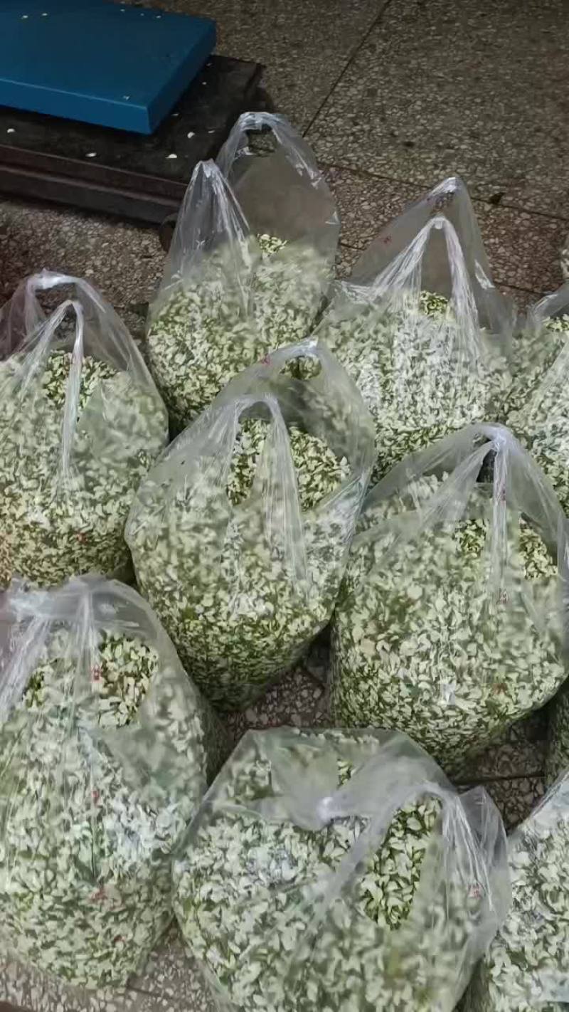 洋槐花