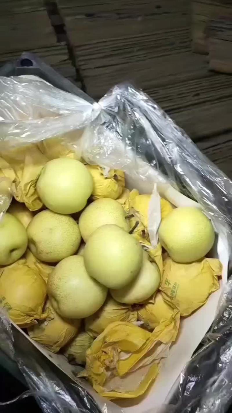 蜡纸袋皇冠梨。适合超市，批发，电商市场，欢迎客户随时联系