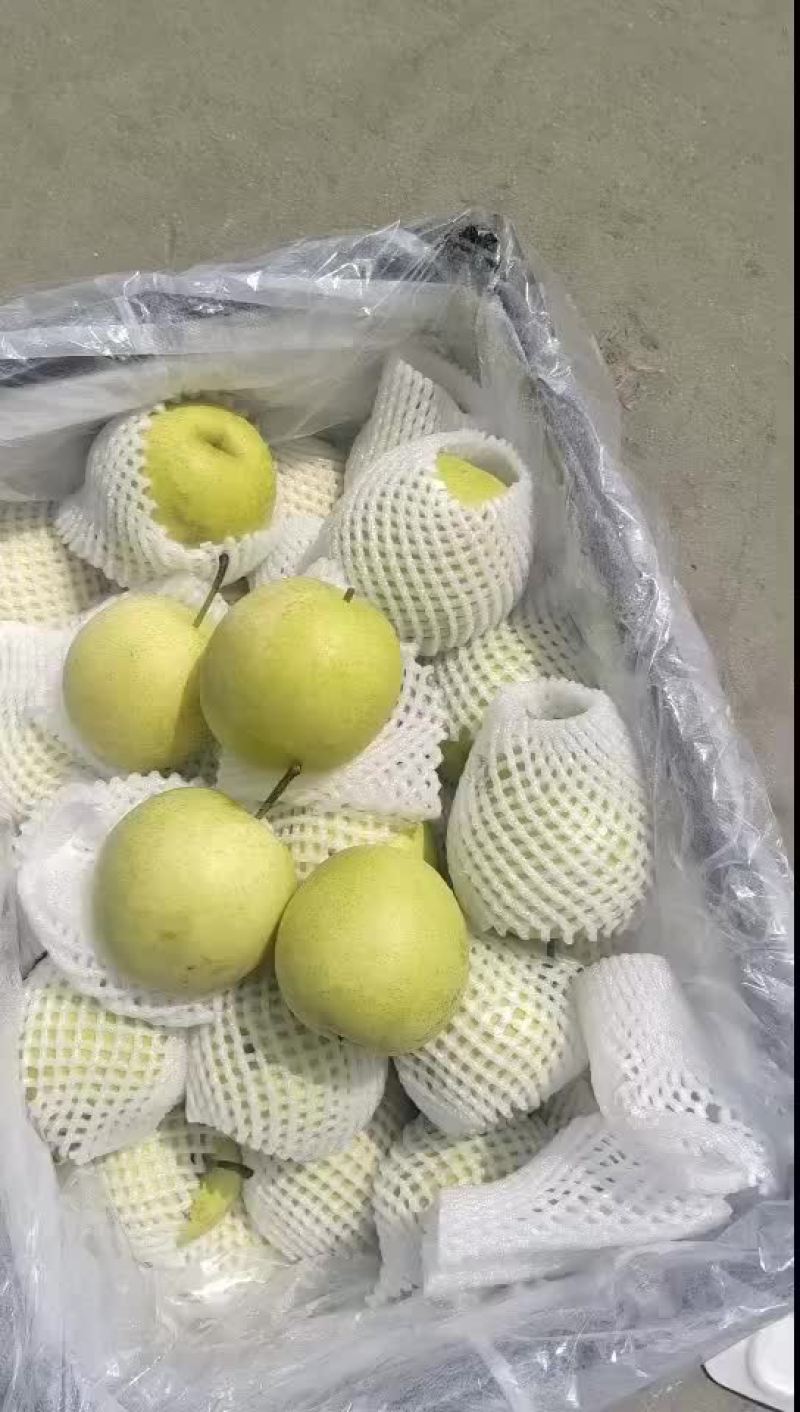 蜡纸袋皇冠梨。适合超市，批发，电商市场，欢迎客户随时联系