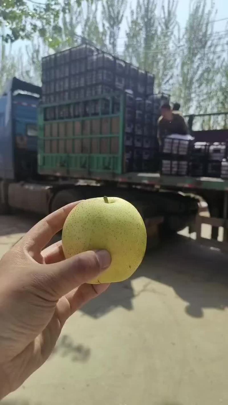 蜡纸袋皇冠梨。适合超市，批发，电商市场，欢迎客户随时联系