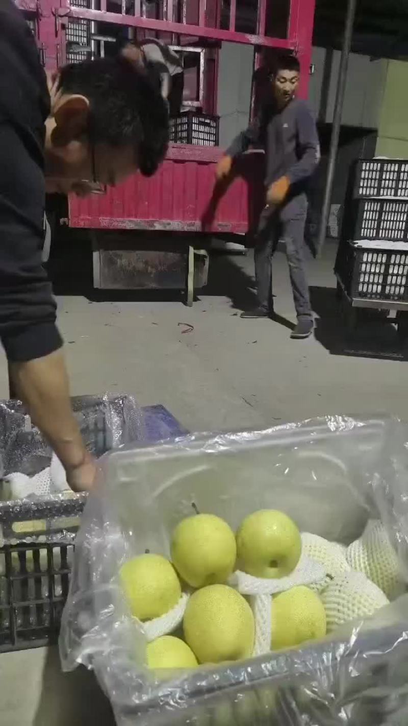 蜡纸袋皇冠梨。适合超市，批发，电商市场，欢迎客户随时联系