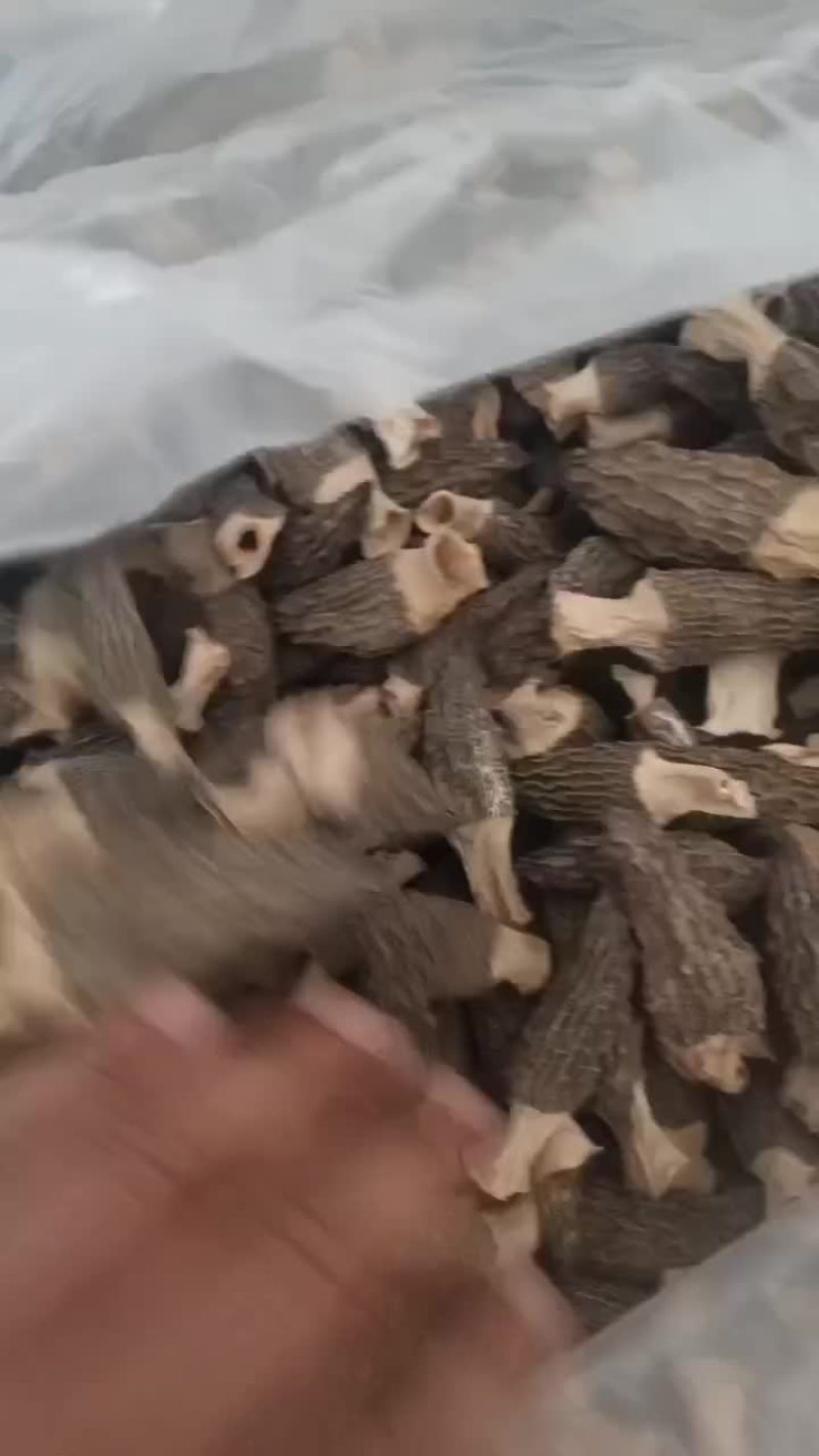 羊肚菌通货
