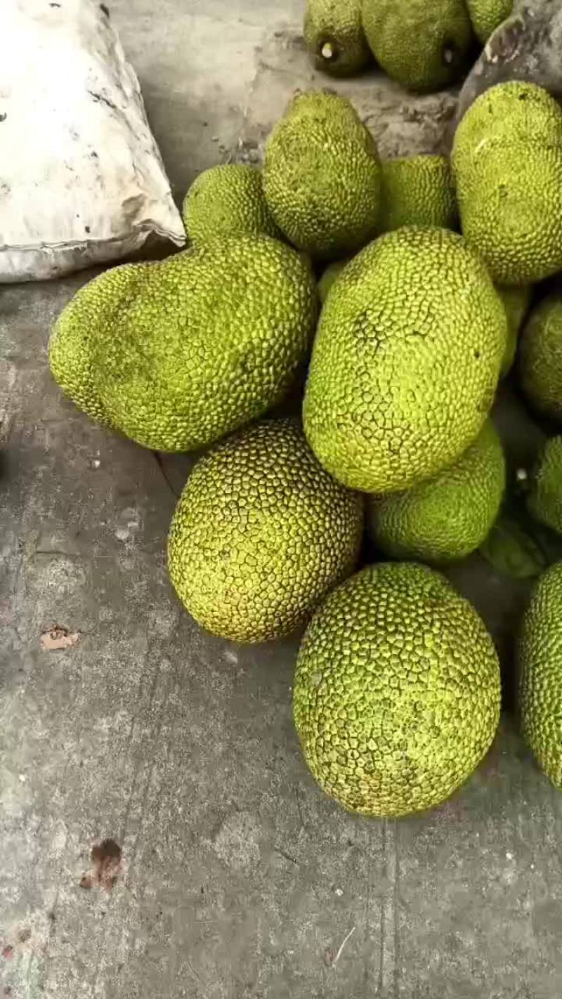 海南精品泰八