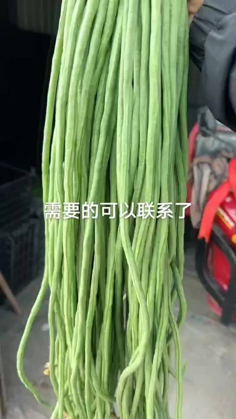 豆角