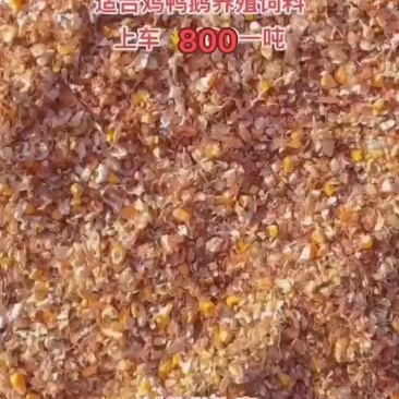 毛粱碎玉米适合牛羊马使用