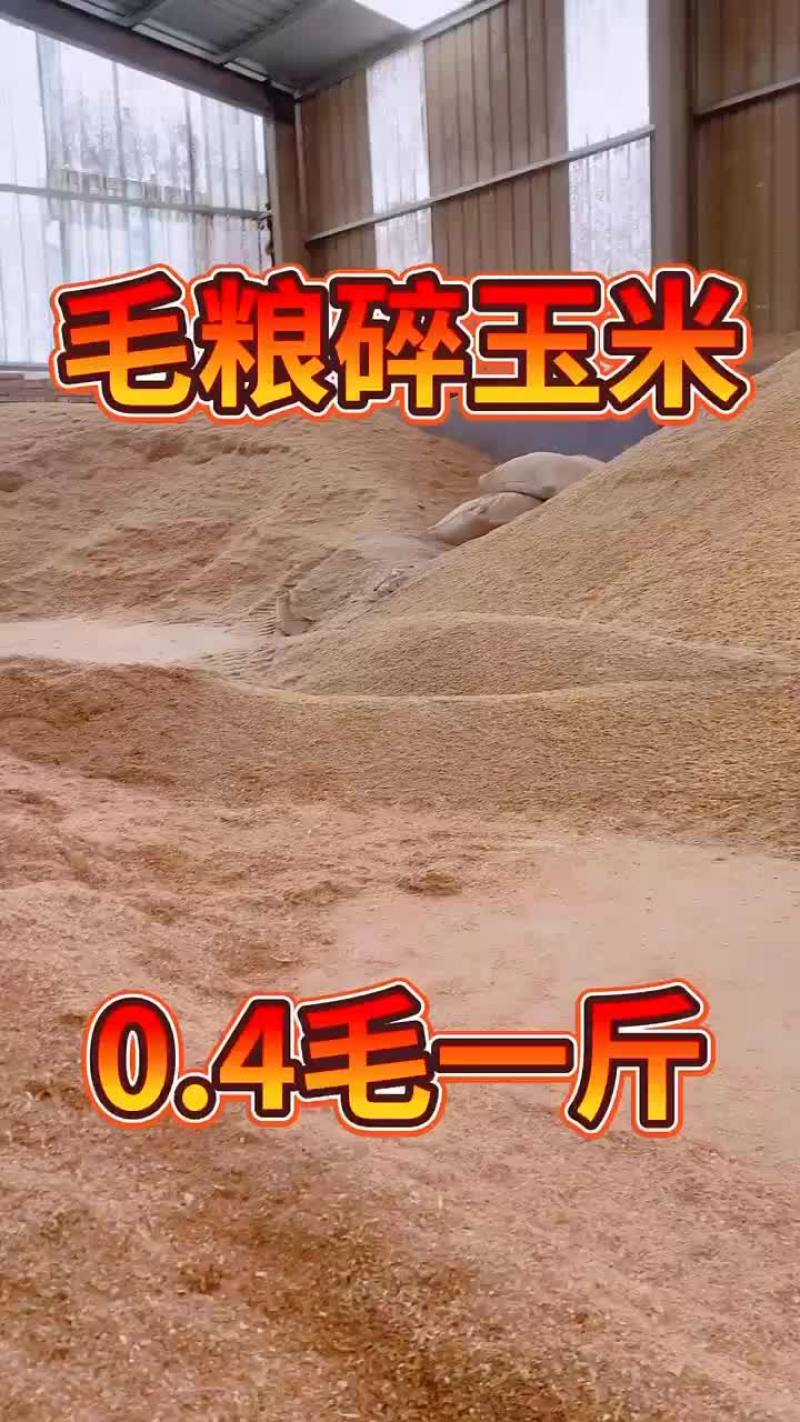 毛粱碎玉米适合牛羊马使用