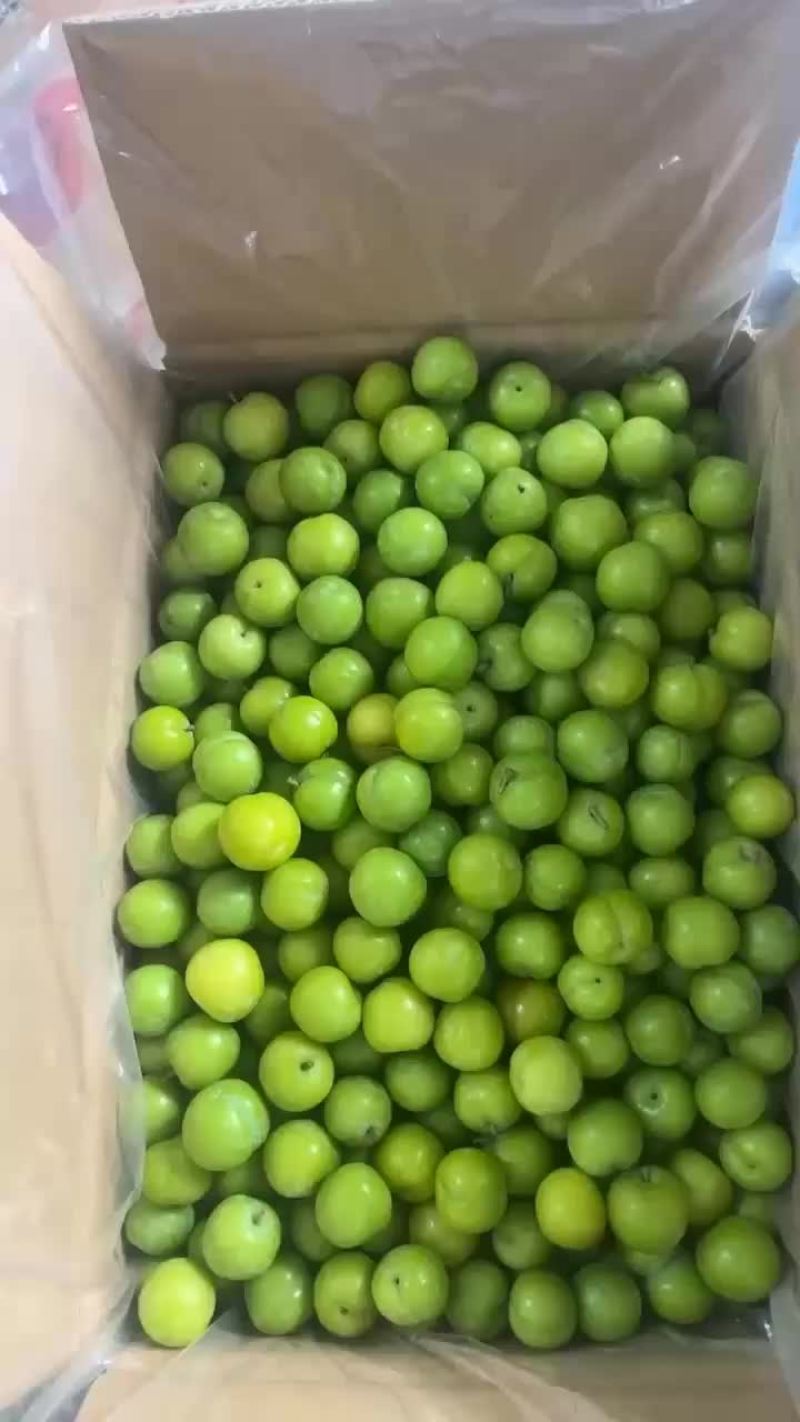 三月李实力来电