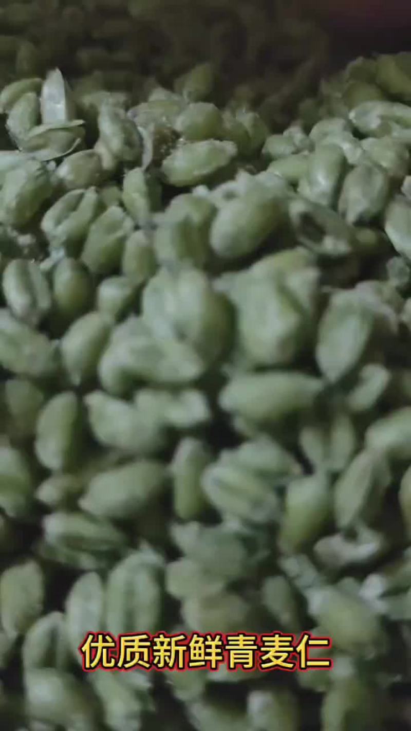 青麦仁