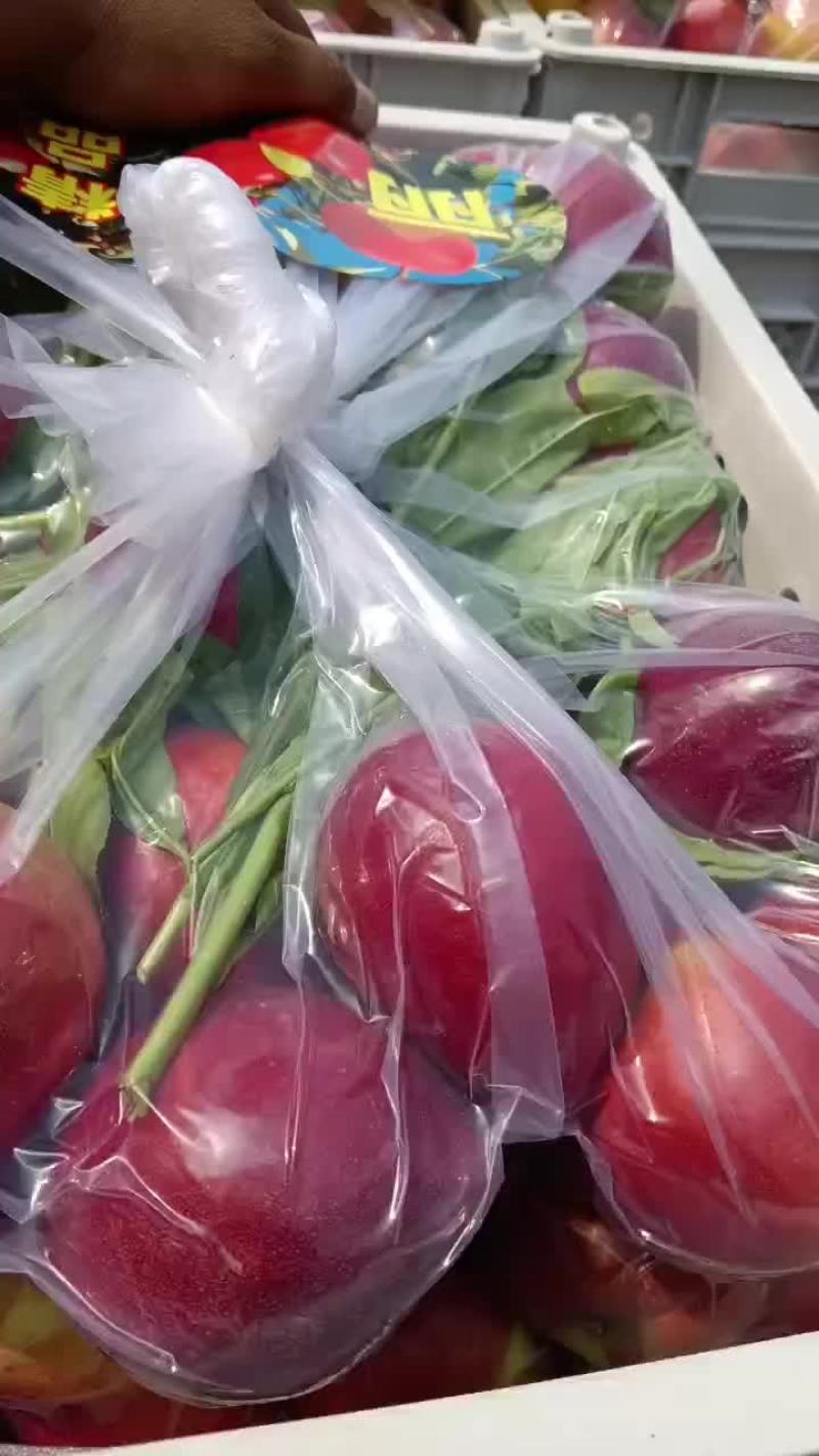 精品油桃大量上市，一手货源，产地直发，需要的老板联系！