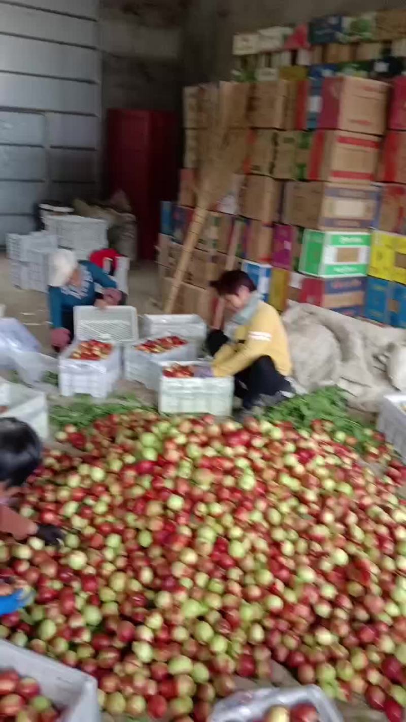 精品油桃大量上市，一手货源，产地直发，需要的老板联系！