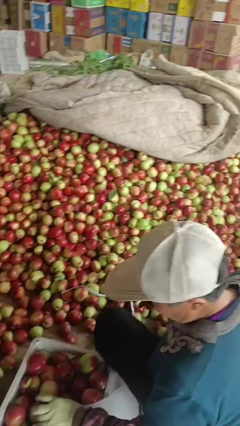 精品油桃大量上市，一手货源，产地直发，需要的老板联系！