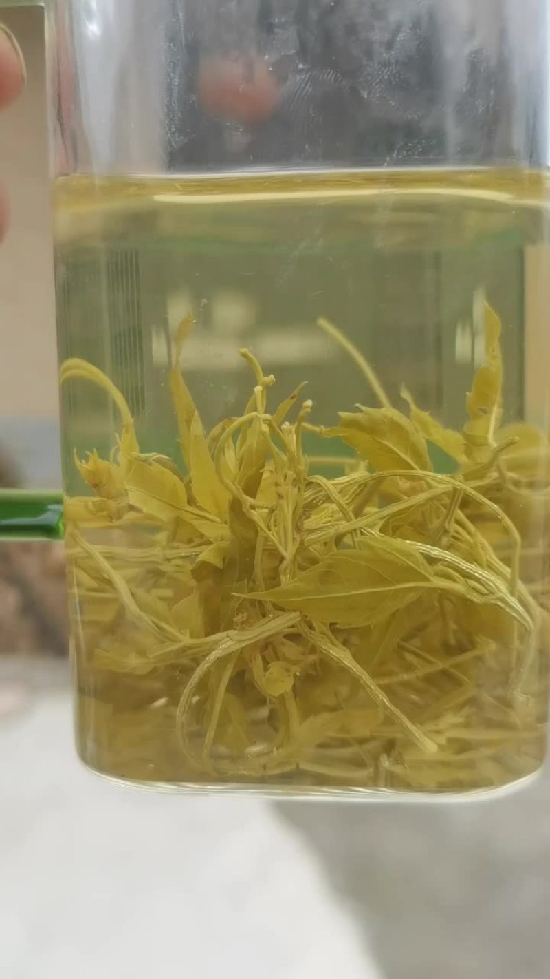 张家界莓茶（藤茶）