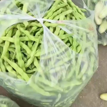 肉豆