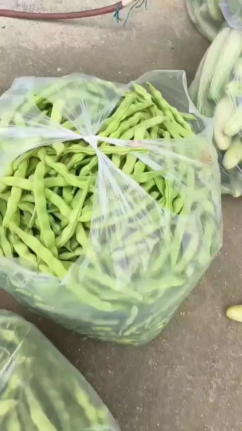 肉豆