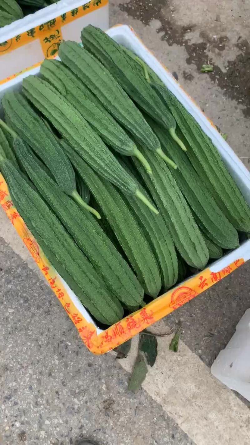 广西丝瓜大量有货，一手货源需要联系我