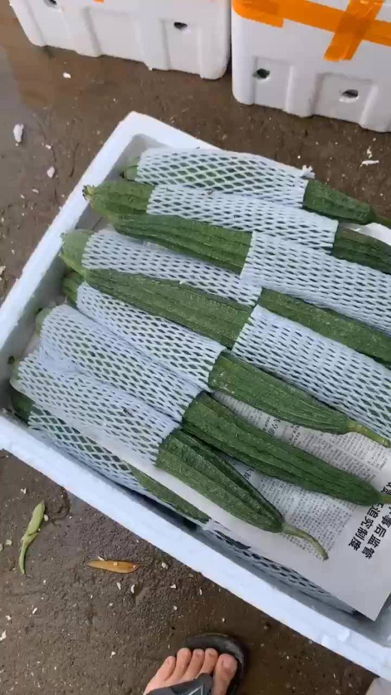 广西丝瓜大量有货，一手货源需要联系我
