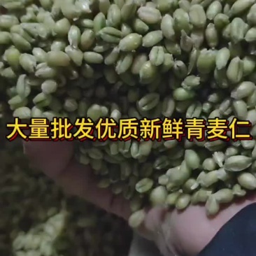 优质青麦仁