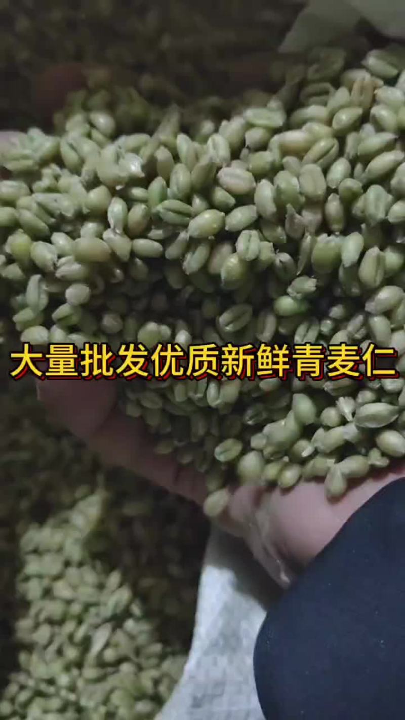 优质青麦仁