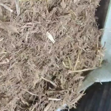 扎断稻草