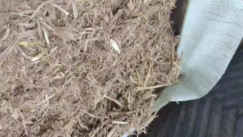 扎断稻草