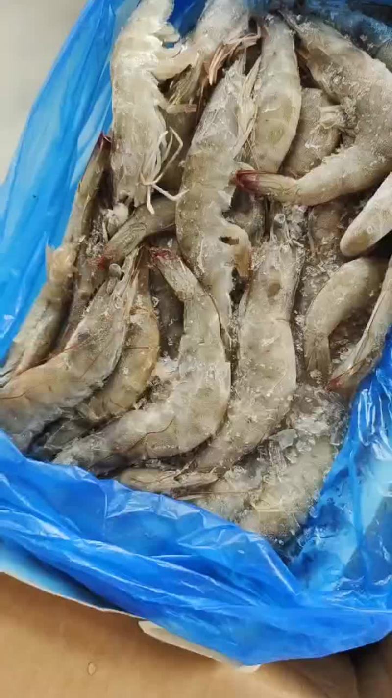 板冻大虾，品质保障，货源充足，量大从优，全国发货
