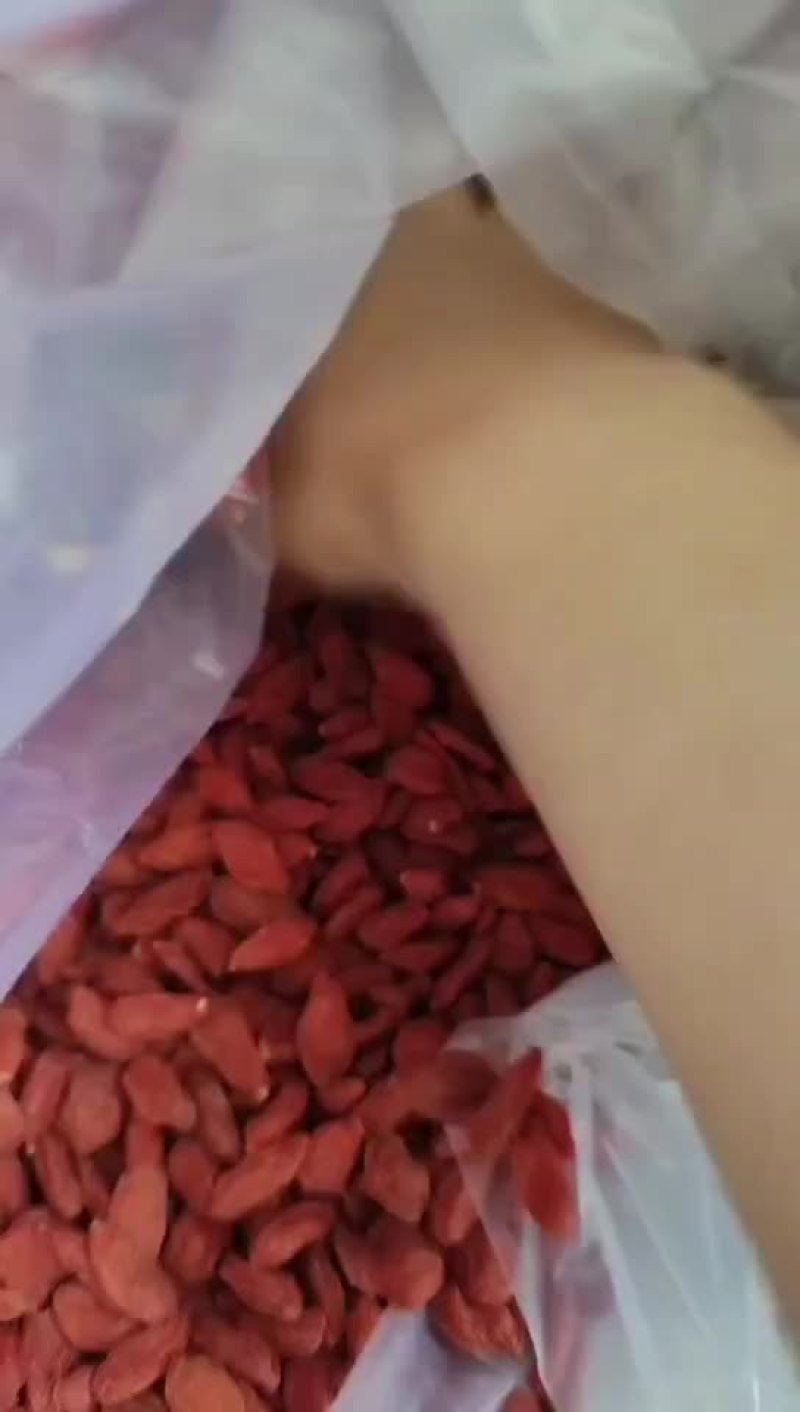 宁夏中宁红枸杞500g
