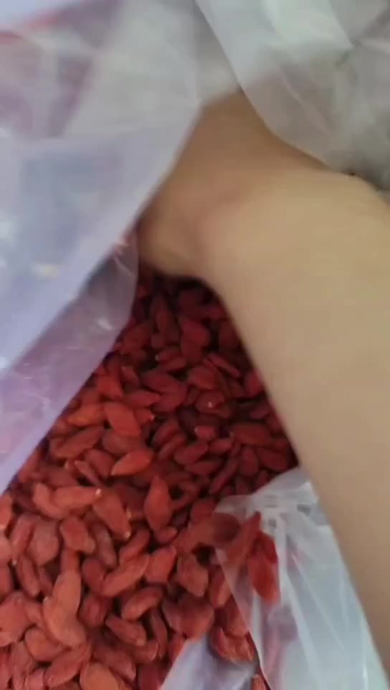 宁夏中宁红枸杞500g